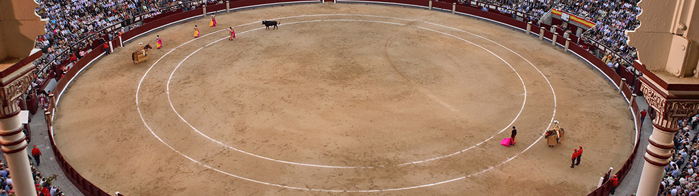 ruedo ventas